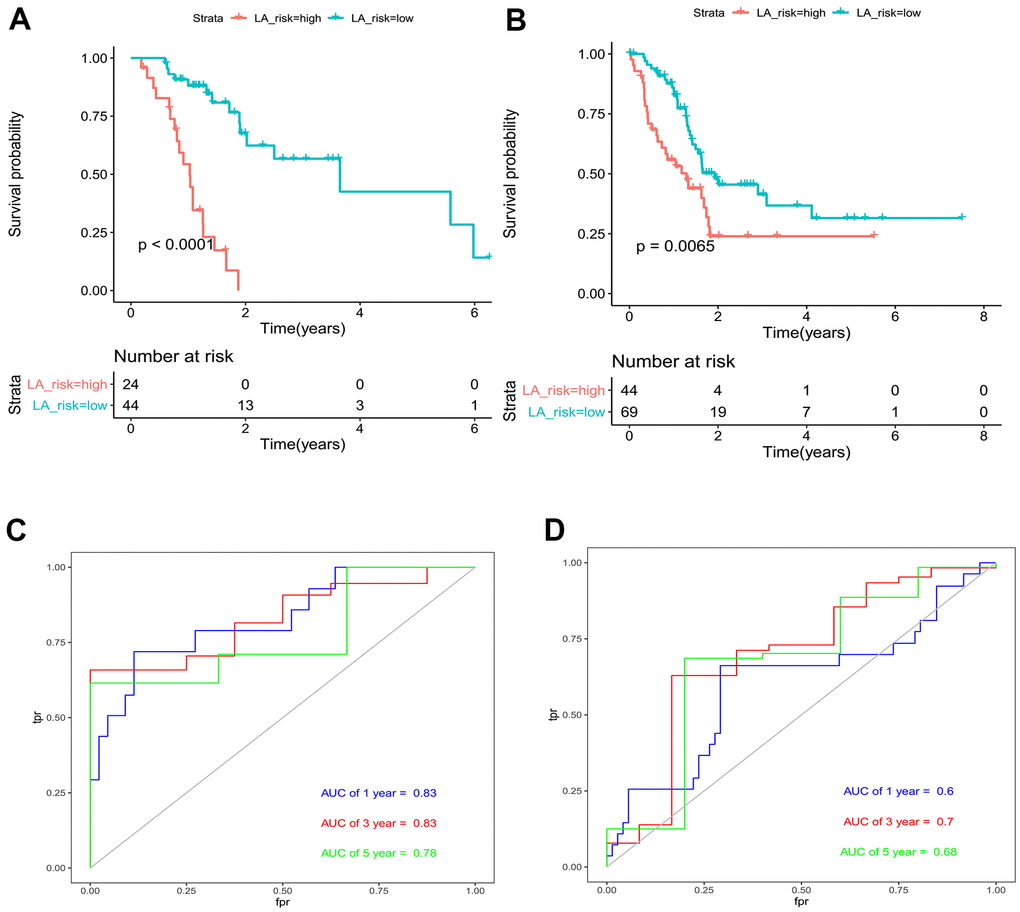 Evaluation and validation of Lasso-Cox regression model for pancreatic cancer. (A) Risk-based Kaplan-Meier survival curve for 68 pancreatic cancer patients treated with gemcitabine. (B) Risk-value Kaplan-Meier survival curve for 113 pancreatic cancer patients with no medication information. (C) AUC area of pancreatic cancer patients in the model group at 1, 3 and 5 years. (D) AUC area of pancreatic cancer patients in the validation group at 1, 3 and 5 years.