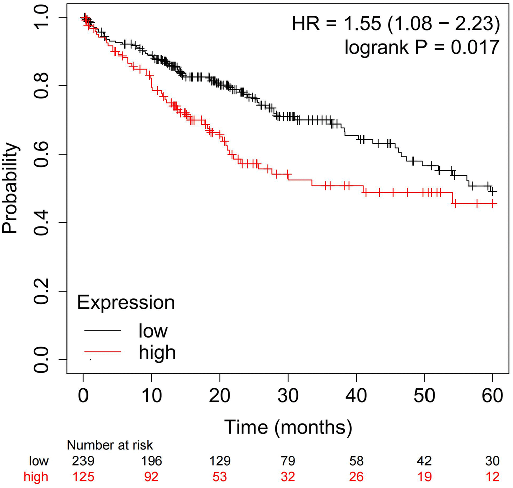 Identification of the correlation between 5-year overall survival of HCC patients and APEX1 expression by applying the Kaplan-Meier plotter on TCGA dataset.