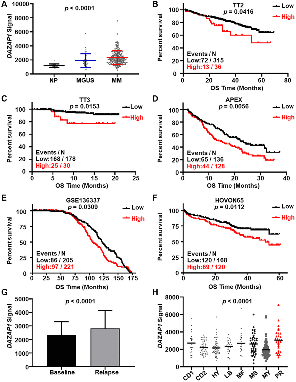 Elevated DAZAP1 is associated with poor outcome of MM patients. (A) DAZAP1 expression in different stages of MM from the GSE5900 dataset as shown in the graph. The signal level of DAZAP1 (226620