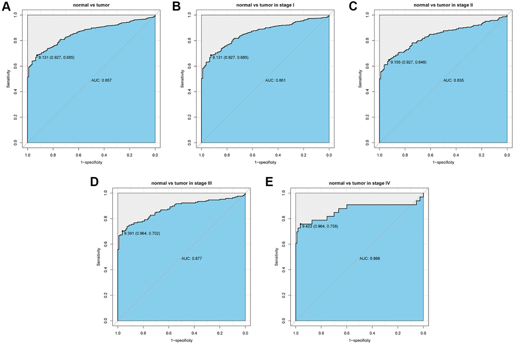 ROC curve to assess the diagnostic ability of FHL2 at different stages. (A) The diagnostic value of FHL2 in lung cancer patients. (B–E) Diagnostic value of FHL2 in patients with stage I, stage II, stage III, and stage IV.