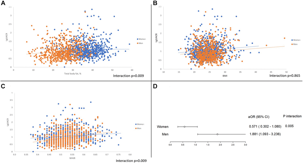(A) Gender disparity between UACR and total body fat percentage. (B) Gender disparity between UACR and BMI. (C) Gender disparity between UACR and Waist to height ratio. (D) Pathological albuminuria and the adjusted odds ratio of subclinical atherosclerosis between sex.