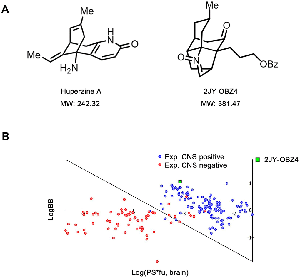Novel small molecular compound 2JY-OBZ4 is a structural analogue of anti-AD drug, Huperzine A. (A) Chemical structure of 2JY-OBZ4 and Huperzine A (Hup-A). (B) Scatter plot to compare relevant brain penetration characteristics of 2JY-OBZ4 to a set of well-known CNS and peripheral drugs processed by ACD/Percepta. Log(PS*fu, brain) means brain/plasma equilibration rate; LogBB means extent of brain penetration.