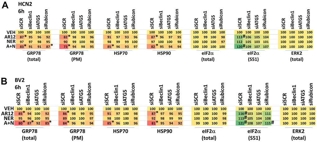 Degradation of chaperones and eIF2α S51 phosphorylation requires LAP and macroautophagy. (A) HCN2 and (B) BV2 cells were transfected with a scrambled siRNA or with siRNA molecules to knock down the expression of Rubicon, Beclin1 or ATG5. After 24h, cells were treated with vehicle control, AR12 (2 μM), neratinib (50 nM) or the drugs in combination for 6h. Cells were fixed in place and immunostaining performed to determine the expression of GRP78 (total and cell surface / plasma membrane), HSP70, HSP90, eIF2α and ERK2, and the phosphorylation of eIF2α S51. (n = 3 +/-SD) * p 