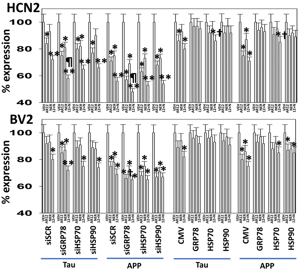 GRP78 plays a key role in regulating the expression of APP and Tau after exposure of neuronal cells and microglia to AR12 and neratinib. HCN2 and BV2 cells were transfected with a scrambled siRNA or with siRNA molecules to knock down the expression of GRP78, HSP70 or HSP90 and in parallel co-transfected to express Tau or APP. After 24h, cells were treated with vehicle control, AR12 (2 μM), neratinib (50 nM) or the drugs in combination for 6h. Cells were fixed in place and immunostaining performed to determine the expression of APP, Tau and ERK2. (n = 3 +/-SD) * p 