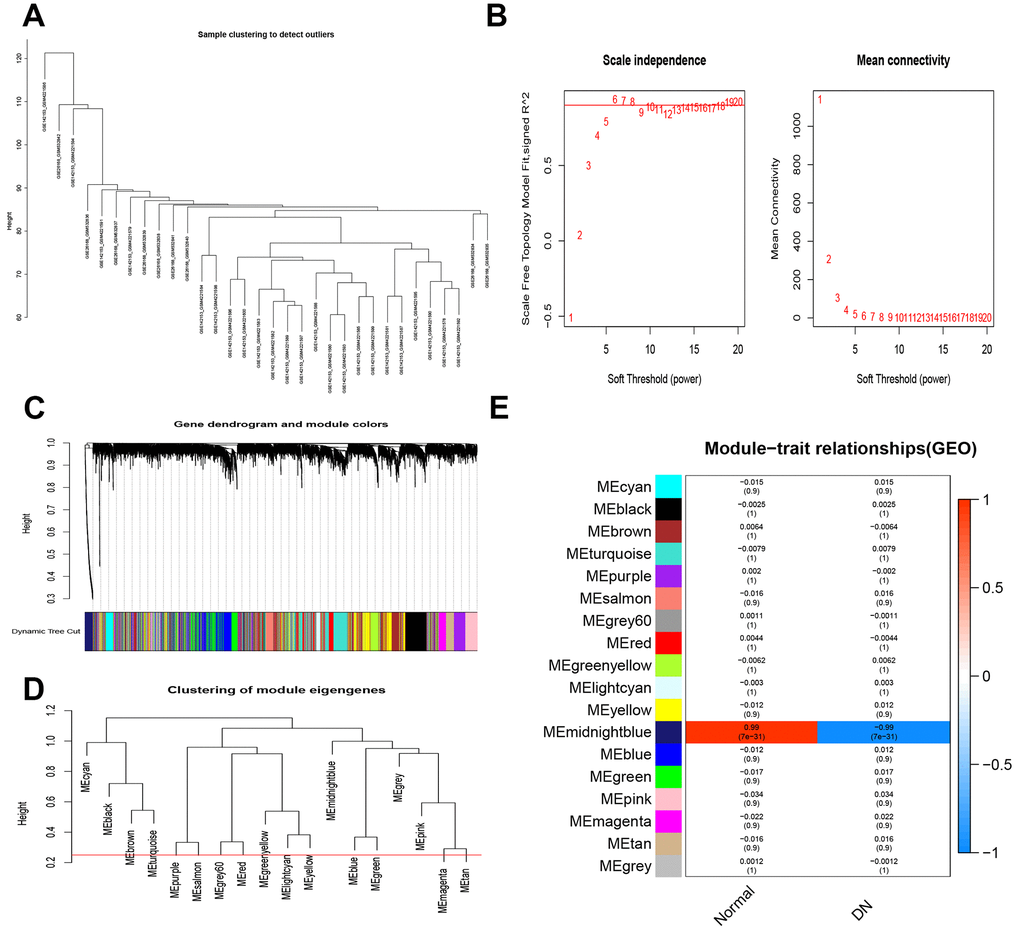 Weighted gene co-expression network analysis. (A) Sample clustering. (B) Analysis of soft-thresholding powers to fit the scale-free topology model and the mean connectivity of the soft-thresholding powers. (C) Dendrogram of the gene modules. (D) Clustering of 8 gene modules. (E) Module-trait relationships.