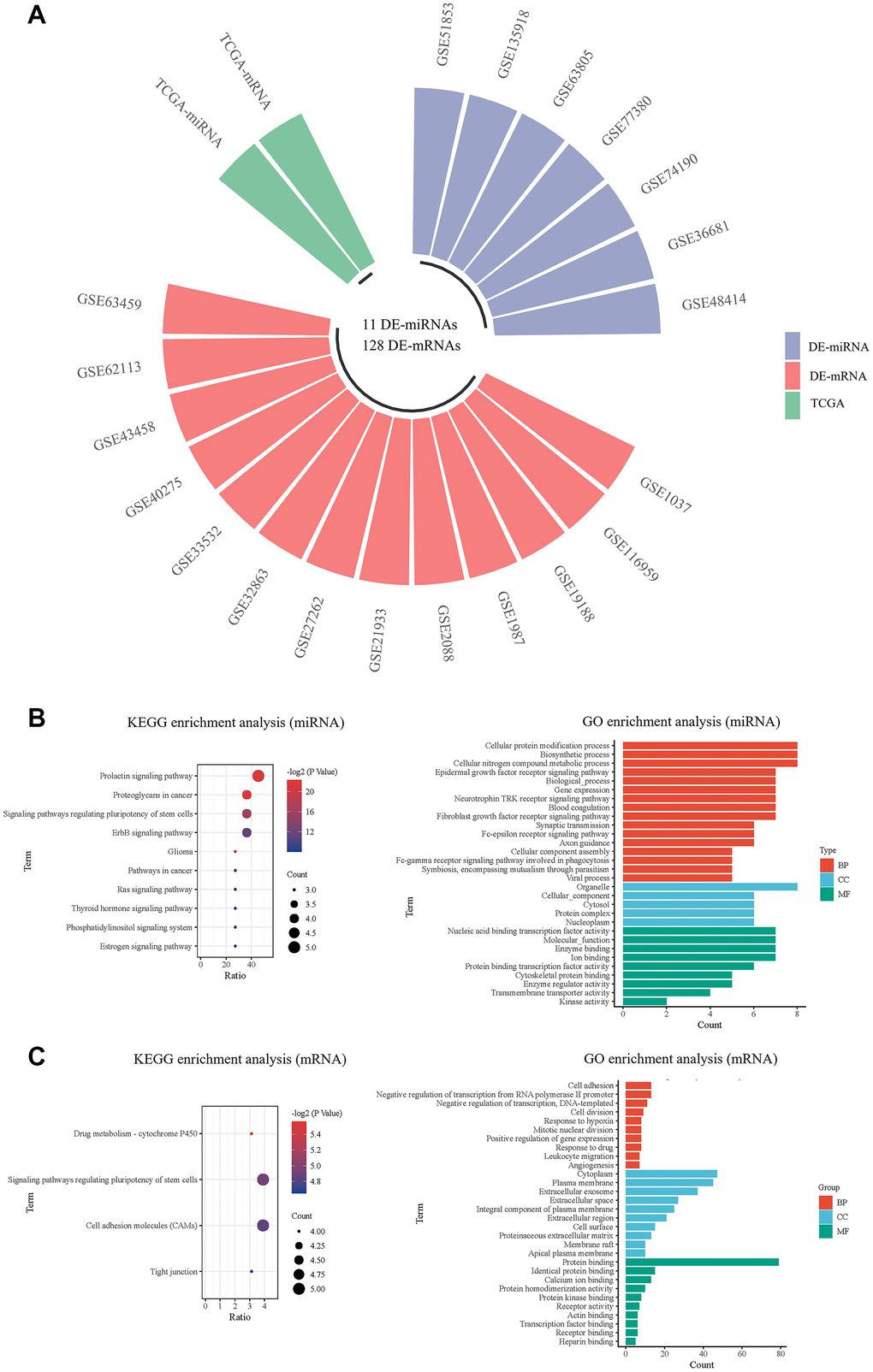 Screening and pathway analysis of DE-miRNAs and DE-mRNA. (A) The circular bar chart showing the datasets from different sources for screening differentially expressed miRNAs and mRNAs; (B) The KEGG and GO enrichment analysis of DE-miRNAs; (C) The KEGG and GO enrichment analysis of DE-mRNAs.