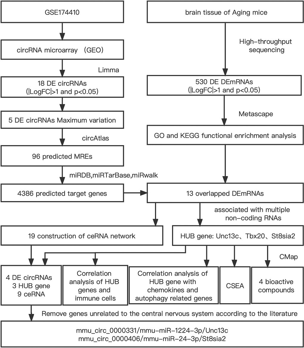 Flowchart of the comprehensive analysis process and all methods utilized in present study.