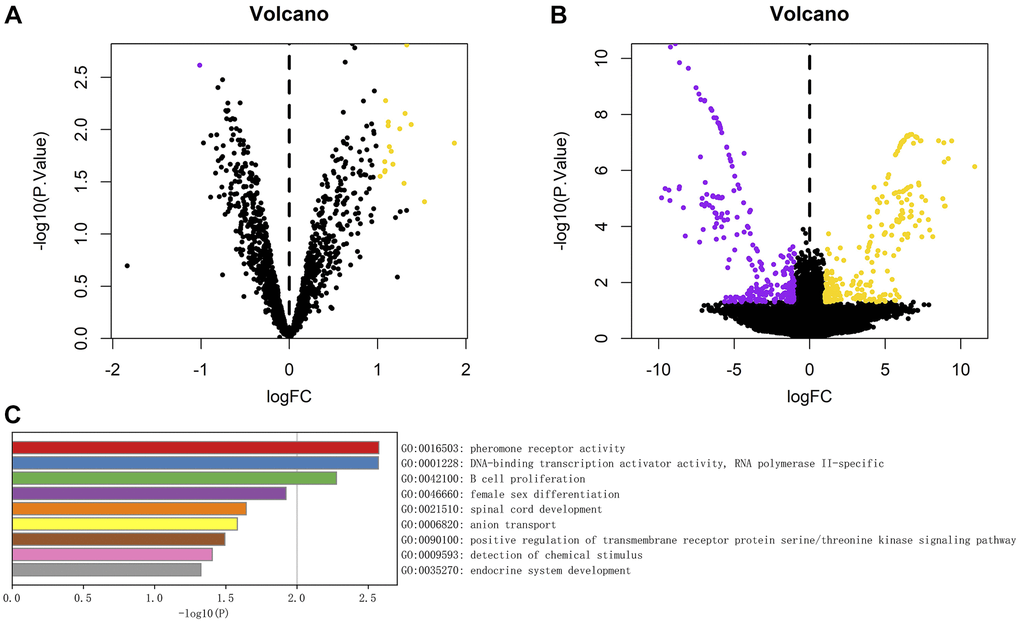 (A) Volcanic diagram of differential analysis of circRNA; (B) Volcanic map of mRNA differences detected in the experiment. The yellow dot represents the up-regulated genes, the purple dot represents the down-regulated genes, the abscissa is the log2 change multiple, and the ordinate is P-value. (C) Analysis of enrichment function of 530 differentially expressed genes, The length of the column represents the size of P-value.