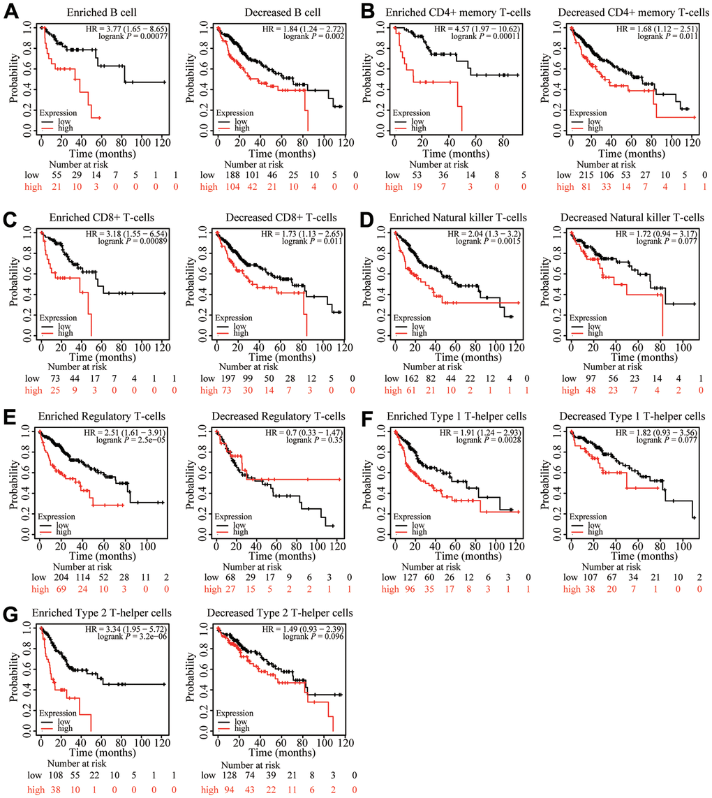Kaplan-Meier survival curves according to high and low expression of ZNF320 in immune cell subgroups in liver cancer. (A–G) Correlations between ZNF320 expression and OS in different immune cell subgroups in HCC patients were estimated by Kaplan-Meier plotter.