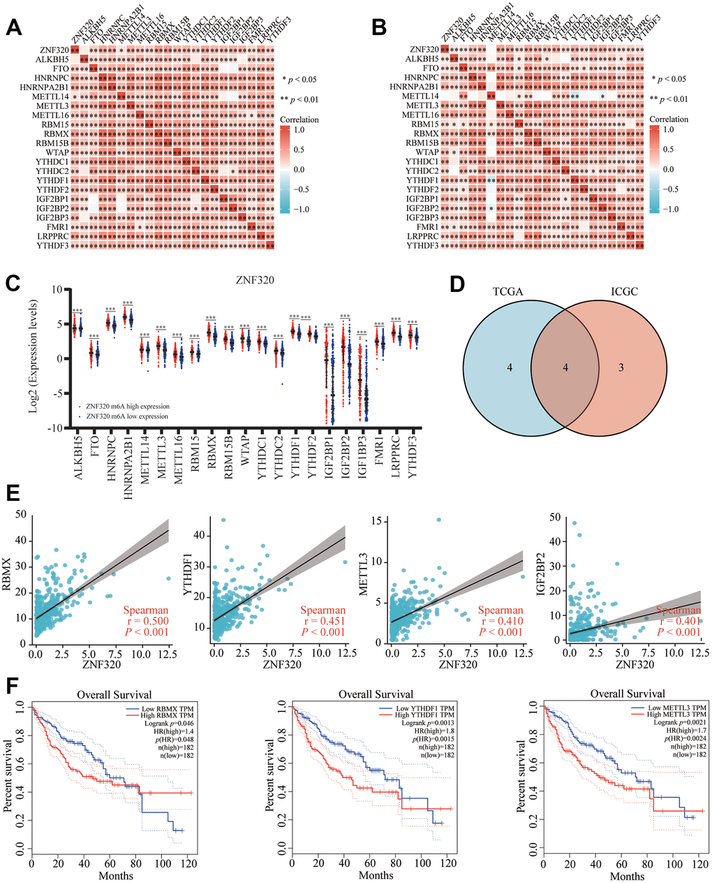 Correlation of ZNF320 expression with m6A related genes in HCC. (A, B) TCGA HCC data set and ICGC data set analyzed the correlation between the ZNF320 and m6A related genes expression in HCC. (C) The differential expression of glycolysis related genes between high and low ZNF320 expression groups in HCC tumor samples. (D) Venn diagram showed correlation coefficient greater than 0.39 with ZNF320 in two databases, including RBMX, YTHDF1, METTL3, IGF2BP2. (E) Draw a scatter plot to show the correlation between the ZNF320 and glycolysis related genes expression, including RBMX, YTHDF1, METTL3, IGF2BP2 (F) Kaplan-Meier curve of RBMX, YTHDF1, METTL3 *P 