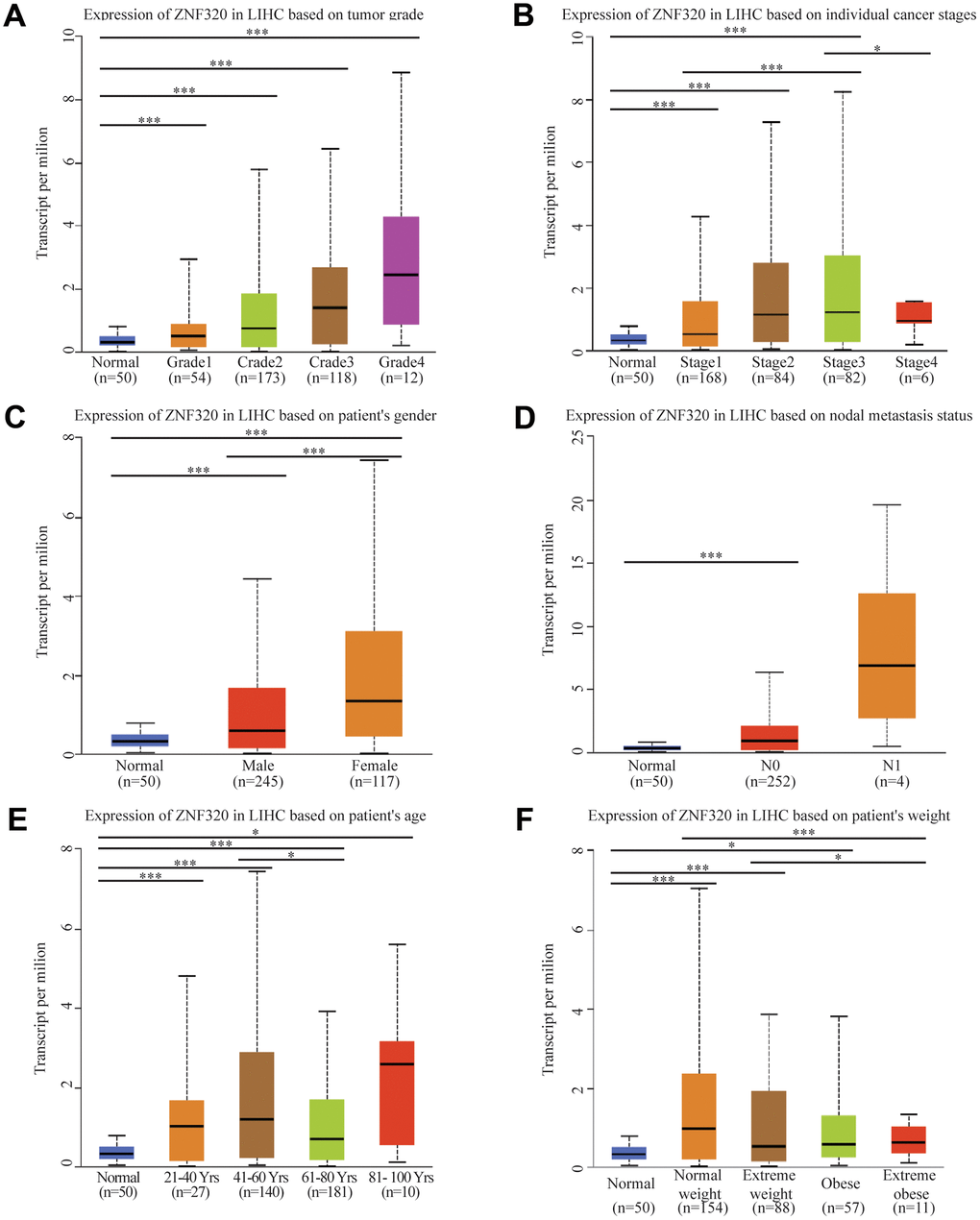 ZNF320 expression is a correlation with clinicopathological characteristics. Increased ZNF320 expression was significantly with (A) higher grade, (B) stage, (C) nodal metastasis, (D) gender, (E) age, and (F) weight.