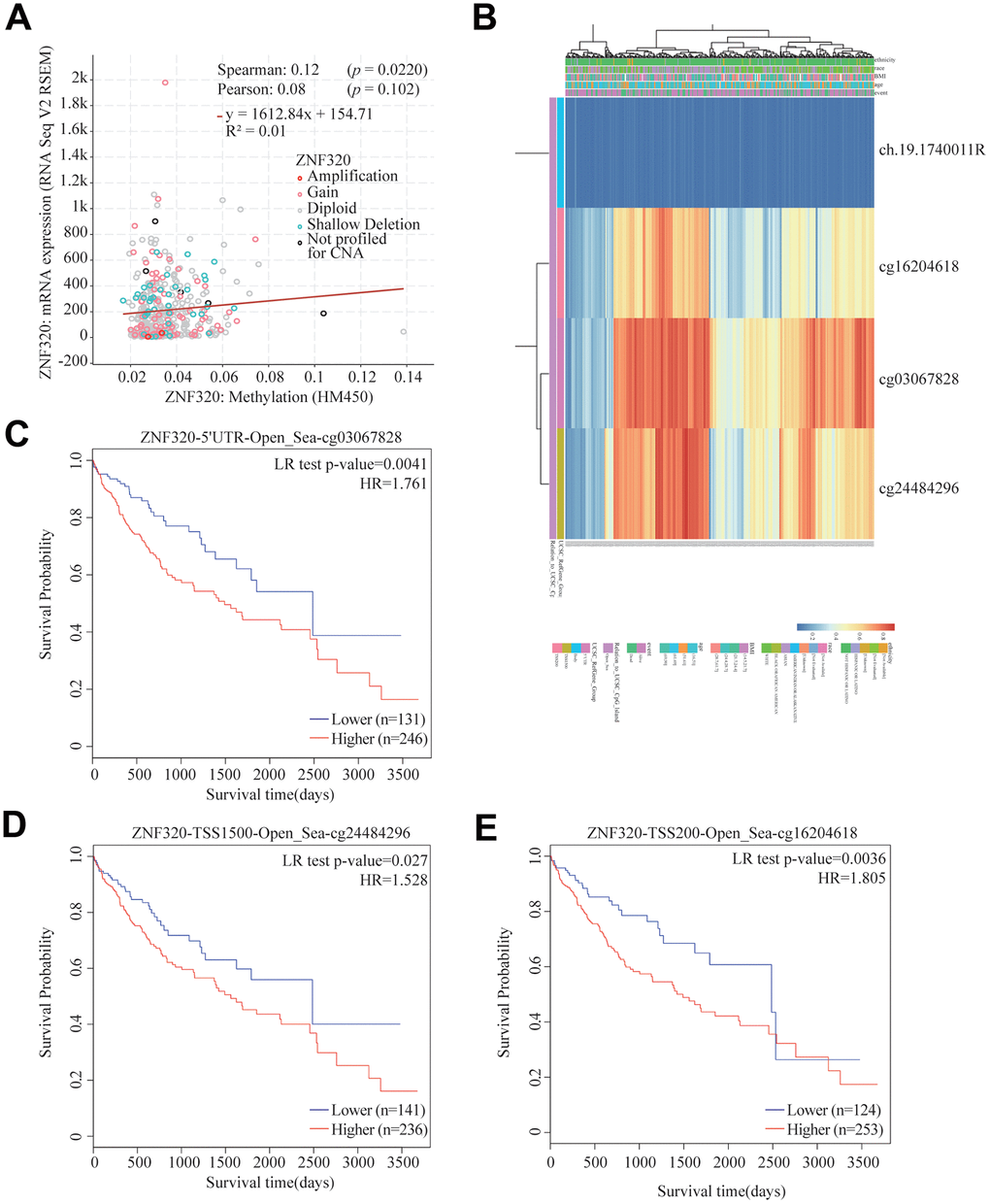 Correlation between ZNF320 mutation, hypermethylation, and prognosis in HCC. (A) The correlation between ZNF320 methylation and its expression level. (B) The visualization between the methylation level and the ZNF320 expression. (C–E) the Kaplan–Meier survival of the promoter methylation of ZNF320.