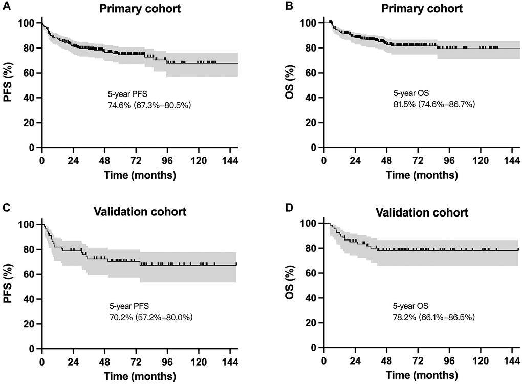 Survival curves for patients with localized NKTCL receiving sequential chemoradiotherapy. Progression-free survival and overall survival cures for the primary cohort (A and B) and the validation cohort (C and D).