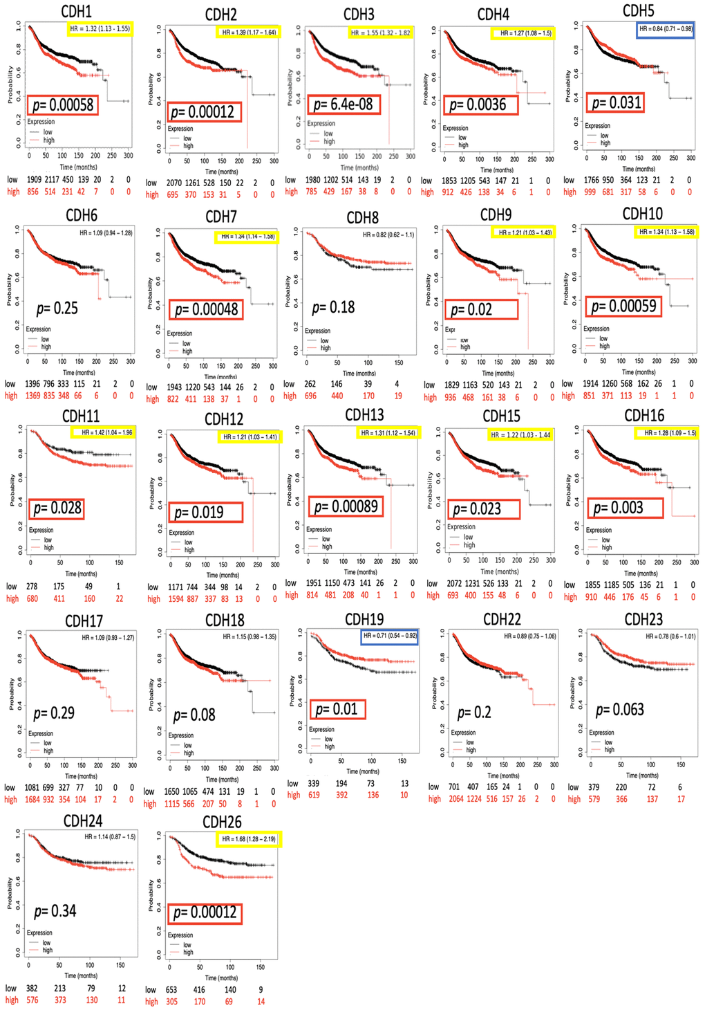 Kaplan-Meier (KM) analysis of cadherin (CDH) family genes in the distant metastasis-free survival (DMFS) of breast cancer patients. The hazard ratio (HR) represents a prognostic value of breast cancer patients. Log[rank p] was utilized to find out the level of prognostic significance of breast cancer patients. In addition, log[rank p] of CDH1/2/3/4/5/7/9/10/11/12/13/15/16/19/26 were significant compared to low expressions, which are highlighted with p values in red boxes. The HRs of CDH1/2/3/4/7/9/10/11/12/13/15/16/26 were significantly higher, which are marked in yellow boxes, indicating poor prognostic outcomes in breast cancer. In contrast, the HRs of CDH5/19 were significantly lower, which were marked in blue boxes, indicating better prognostic outcomes in breast cancer.