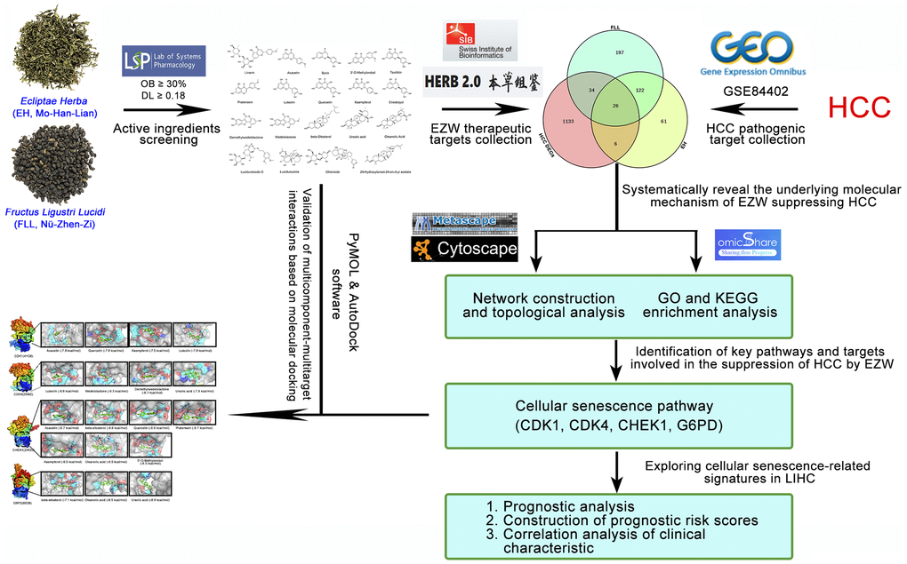 Flowchart of the analytical procedures of the study.