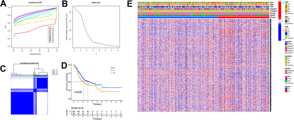 The mRNAsi-related key genes could classify GC into two groups by consensus clustering of TCGA dataset. (A) Cumulative distribution function (CDF) for k=2 to k=9. (B) Relative change in area under the CDF curve according to different k values. (C) Consensus clustering matrix of samples from TCGA dataset for k=2. (D) Survival analysis of patients in the C1 group and C2 group in TCGA cohort. (E) Heatmap of two clusters defined by the expression of mRNAsi-related key genes.