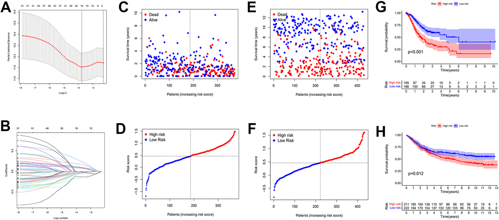 Establishment of risk prognostic model. (A) Partial likelihood deviance was plotted versus log (Lambda). The vertical dotted line indicates the lambda value with the minimum error and the largest lambda value. (B) LASSO coefficient profiles of the genes screening by univariate Cox regression analysis. (C, D) The distributions of risk scores and OS status in TCGA. (E, F) The distributions of risk scores and OS status in GEO. (G) The patient samples from TCGA were divided into high and low risk groups based on risk score and the OS of the groups were analyzed using Kaplan-Meier. (H) OS analysis of high and low risk groups from the GEO samples. Red represents the high risk group and blue represents the low risk group. LASSO: least absolute shrinkage and selection operator. OS: overall survival.