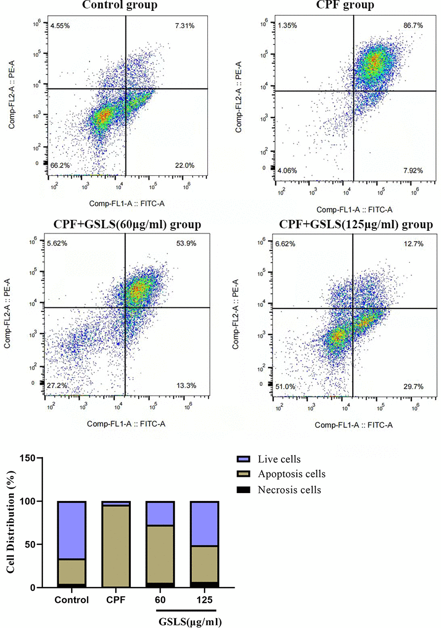 Annexin V/PI staining results. Flow cytometry was detected the proportion of apoptotic cells after CPF exposure.