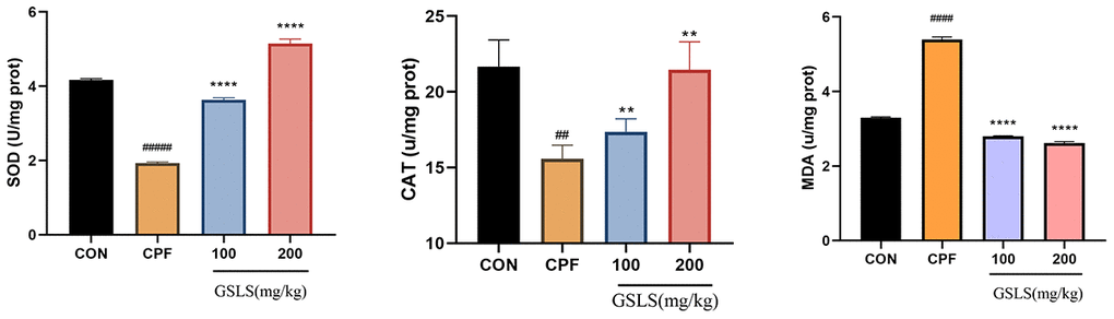 The effect of CPF and/or GSLS on the antioxidant function. The contents of assay kits of SOD, CAT and MDA have expressed as the means ± standard deviations (n = 3). #p ##p ###p ####p *p **p ***p ****p 