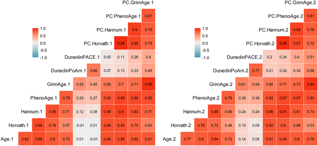 Pearson correlations among DNAm measures at Time 1 (left) and Time 2 (right). Correlations greater than r = .29 are statistically significant at p 