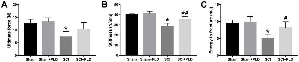 Effects of treatment with PLD on biomechanical parameters of mouse femurs. (A) Ultimate force, (B) stiffness, and (C) energy to fracture of the femurs among the four groups of mice. Data are expressed as mean ± S.D.; n=4 to 5 per group; *P P 