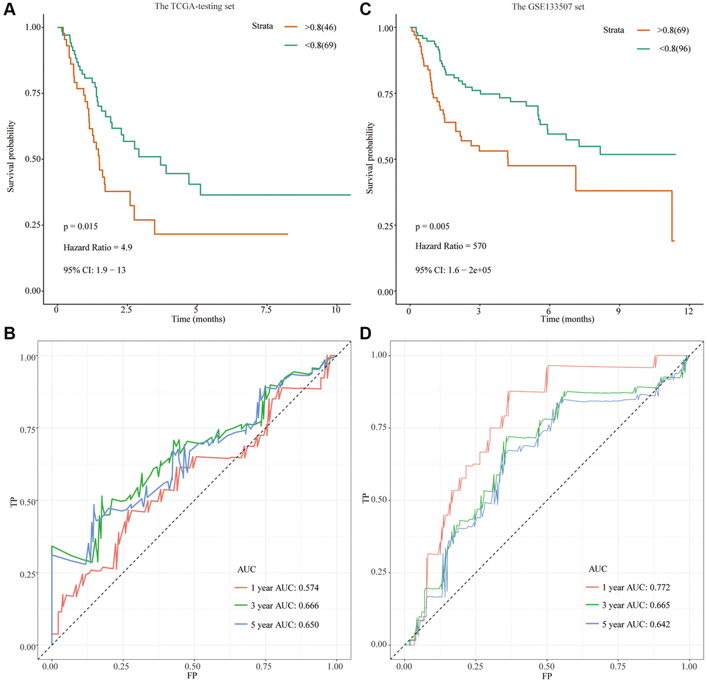 Development of a prognostic signature based on FRGs in the TCGA-testing set and GSE13507 cohort. (A) Survival analysis for the signature-defined risk groups in the TCGA-testing set; (B) Time-dependent ROC curve of the 11- FRGs prognostic signature in the TCGA-testing set; (C) Survival analysis for the signature-defined risk groups in the GSE13507 cohort; (D) Time-dependent ROC curve of the 11- FRGs prognostic signature in the GSE13507 cohort.