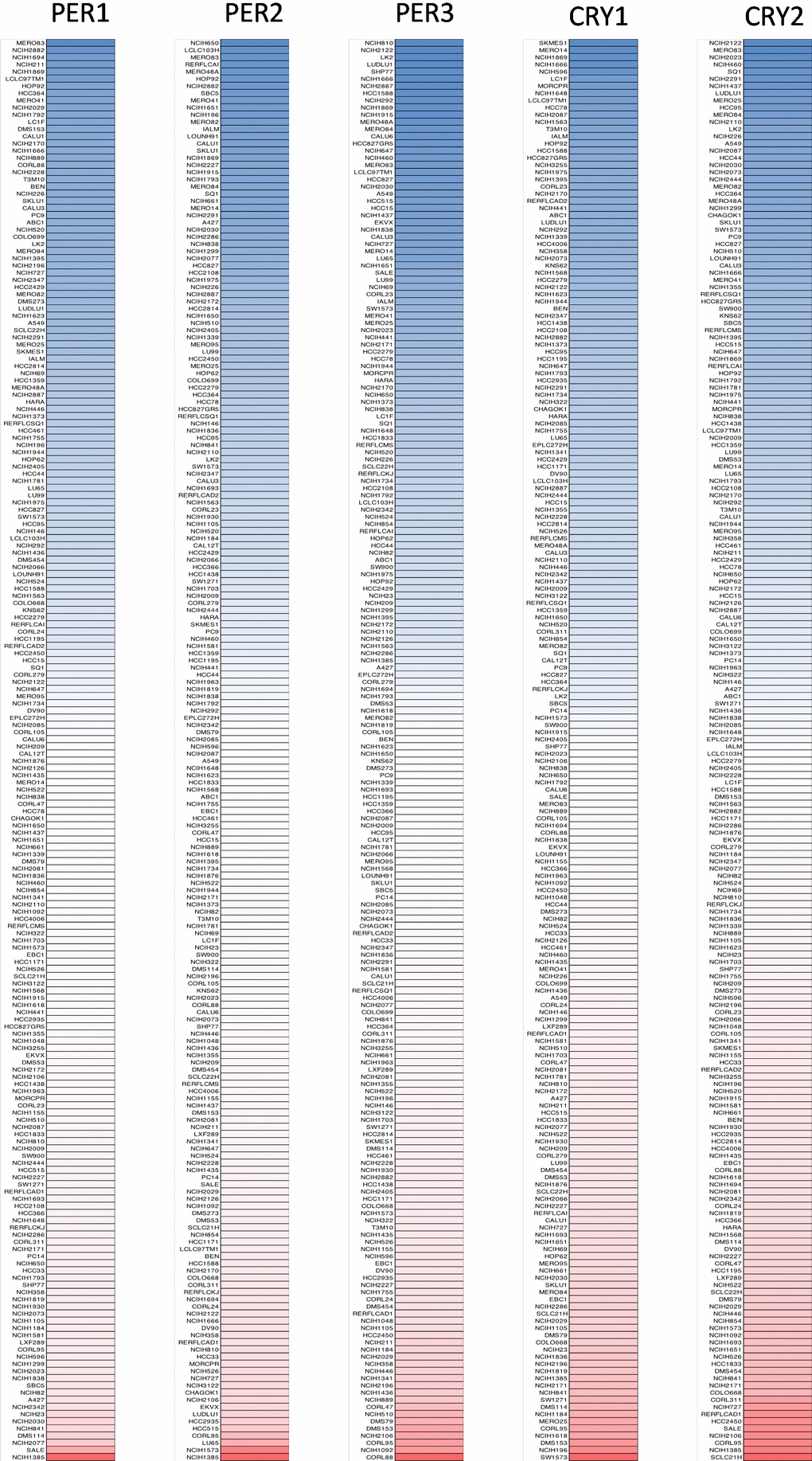 Gene expression levels of PER (period) and CRY (cryptochrome) family members when screening 198 lung cancer cell lines (CCLE database). PER1, PER2, PER3, CRY1, and CRY2 expression levels were differentiated into five columns. The blue blocks indicated under-expression, whereas the red blocks represented overexpression.