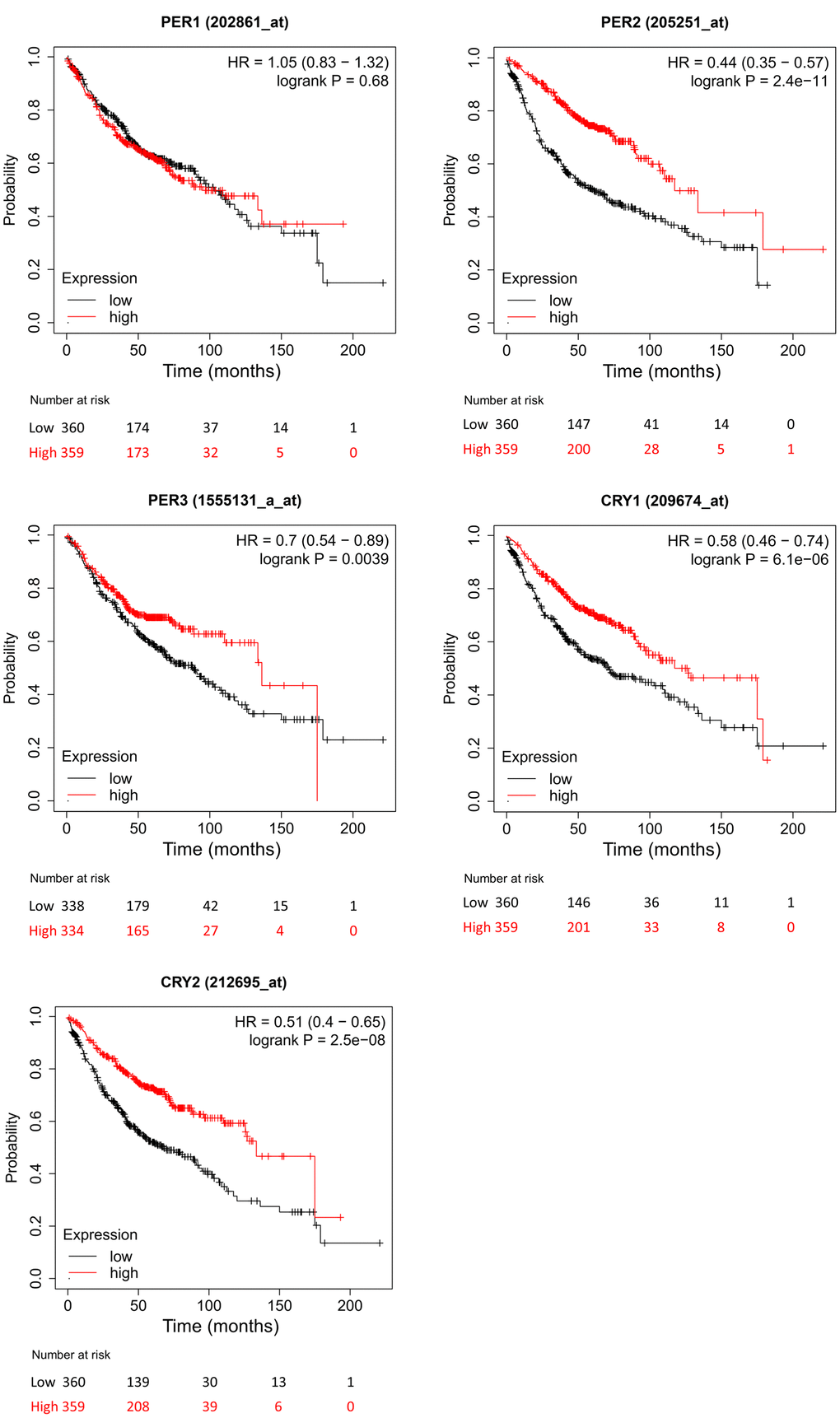 Different expressions of PER (period) and CRY (cryptochrome) family members in lung adenocarcinoma (LUAD) patients in the overall survival (OS) curve (using the Kaplan-Meier plotter). The red line represents the survival rate curve of patients with LUAD who expressed the gene, and the black line represents the survival rate curve of LUAD patients who did not express the gene.