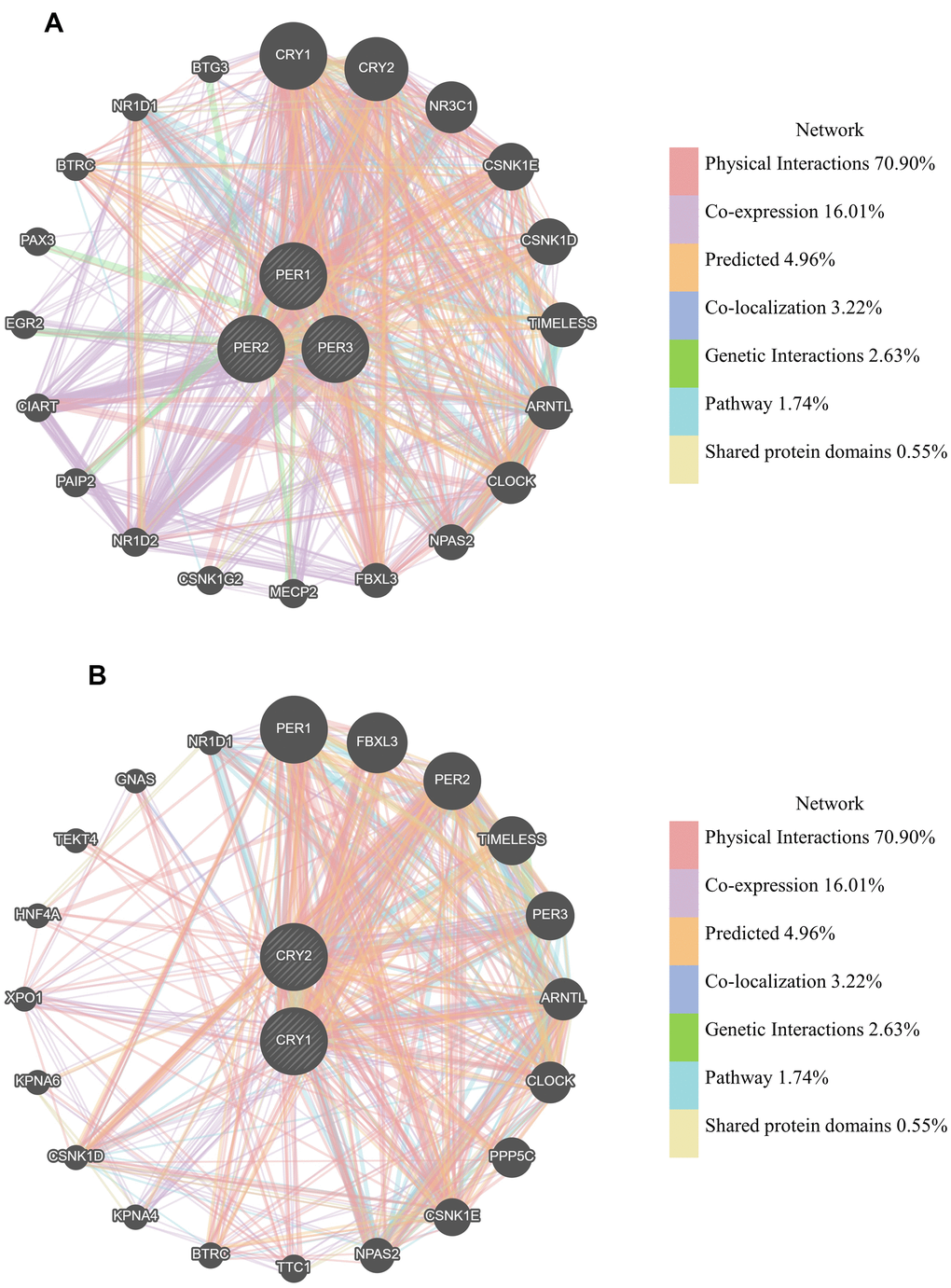 Gene interactions among PER1, PER2, PER3, CRY1, and CRY2 in lung adenocarcinoma (LUAD) patients (GeneMANIA). (A) PER (period) family network constructed by GeneMANIA. (B) CRY (cryptochrome) family network constructed by GeneMANIA. Each node in the figure represents a gene, and the size of the node represents the intensity of the interaction. Connecting lines between nodes represent gene-gene interactions. The color of the connecting line represents the type of interaction.