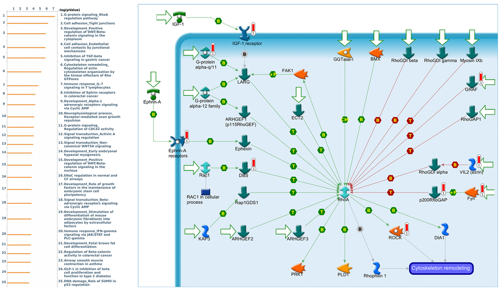 Expression of the PER2 signaling pathway in lung cancer (using MetaCore). The functional analysis of the “G-protein signaling