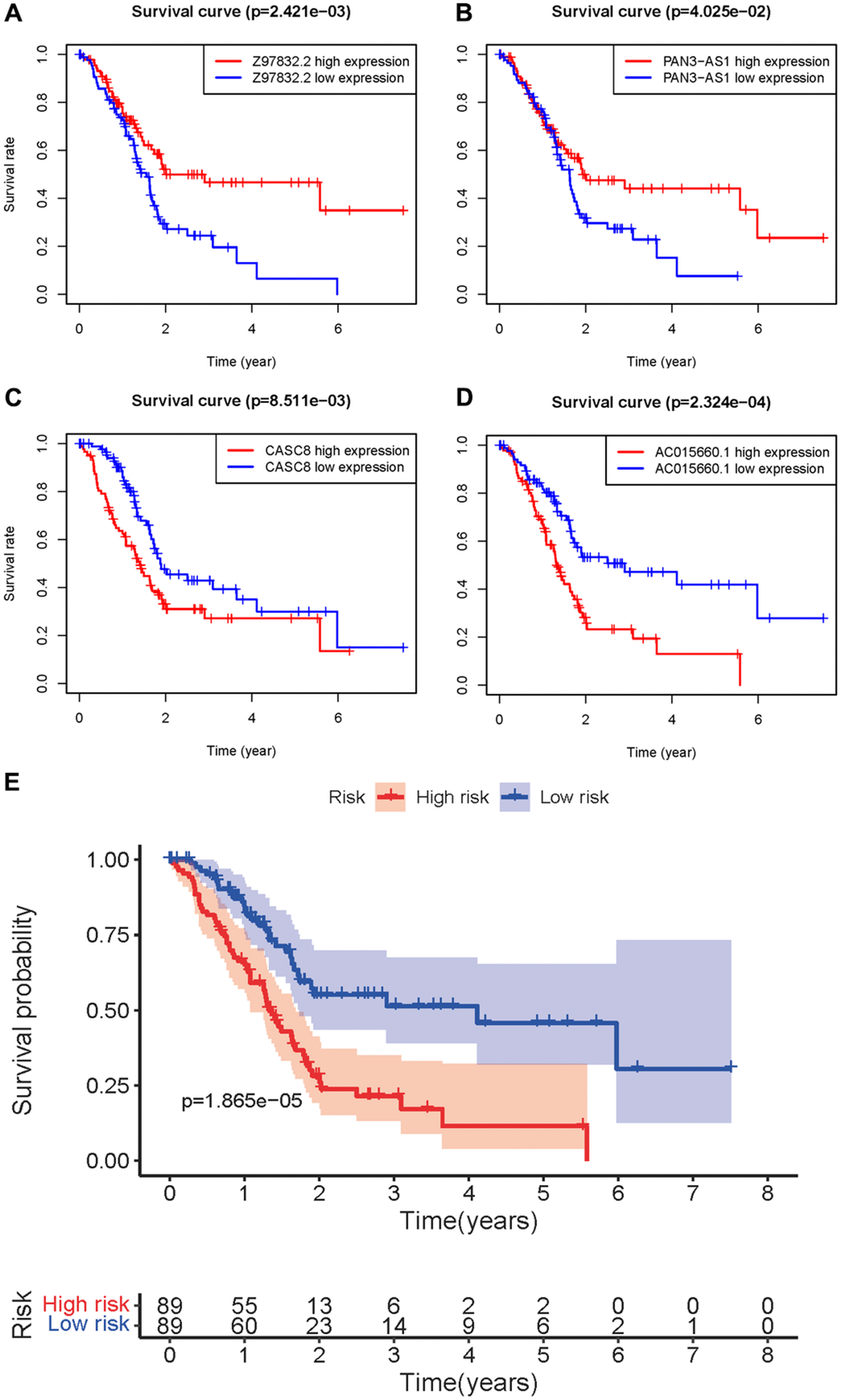 Survival curve of sARLNRs and ARRS. Kaplan-Meier survival curves of Z97832.2 (A), PAN3-AS1 (B), CASC8 (C) and AC015660.1 (D). The results showed the high expressions of Z97832.2 and PAN3-AS1 were correlated with a favorable prognosis, while the high expressions of CASC8 and AC015660.1 showed the opposite results. (E) Survival curve of the high-risk group and low-risk group. The results showed that the high-risk group of PAAD patients have a poor prognosis.