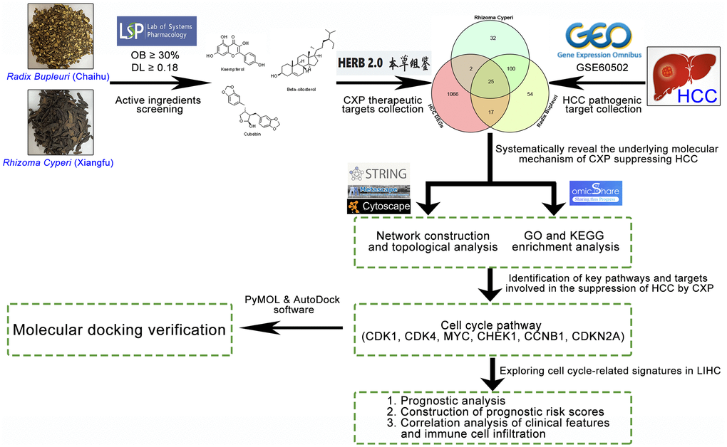 Flowchart of the analytical procedures used in the study.