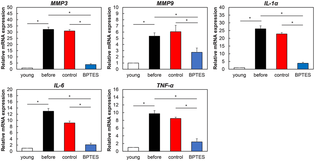 Effect of senescent cell-depleting agents on SASP expression in aged human skin grafts. Relative mRNA levels of genes associated with SASP in mouse skin measured using qRT-PCR. Data were normalized against mRNA obtained from young human skin; GAPDH was used as endogenous control. All results are expressed as mean ± SEM. *p 