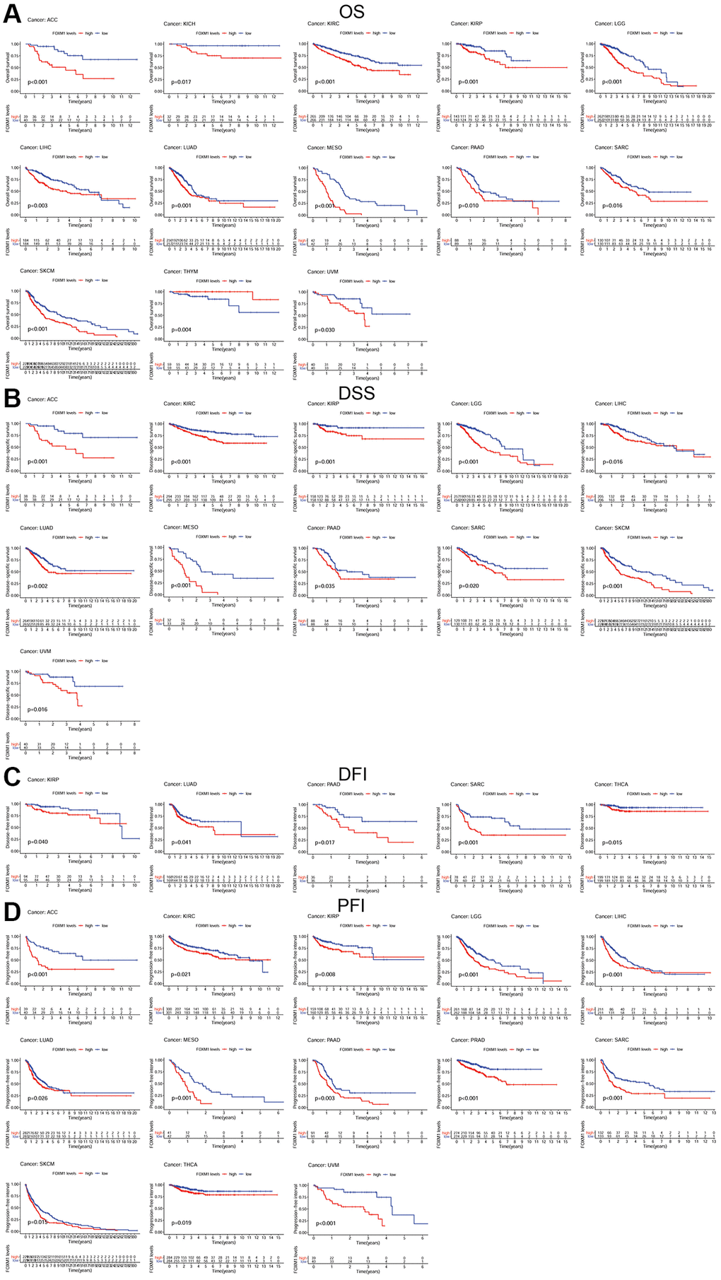 Kaplan-Meier survival curves comparing the expression of FOXM1 in pan-cancer. (A) Kaplan–Meier OS curves for the low expression group and high expression group of FOXM1 in 13 types of cancers; (B) Kaplan–Meier DSS curves for the low expression group and high expression group of FOXM1 in 11 types of cancers; (C) Kaplan–Meier DFI curves for the low expression group and high expression group of FOXM1 in 5 types of cancers; (D) Kaplan–Meier PFI curves for the low expression group and high expression group of FOXM1 in 13 types of cancers. p 