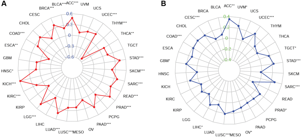 Associations of FOXM1 expression with TMB and MSI in cancers. (A) Radar map of association of FOXM1 expression with TMB, (B) Radar map of association of FOXM1 expression with MSI. *p **p ***p 