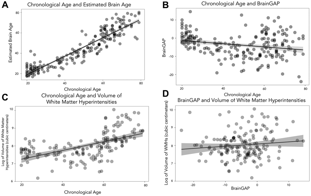 Scatterplots to show the relationship between chronological age, brain age and volume of WMHs. (A) shows chronological age and estimated brain age. (B) depicts chronological age and BrainGAP. (C) displays chronological age and volume of WMHs, and (D) shows BrainGAP and volume of WMHs.