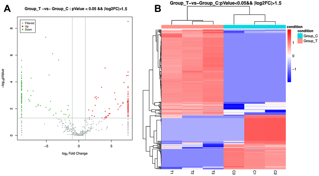 Identification of differentially expressed microRNAs (DE-miRNAs) between the POCD-associated exosomes and non-POCD-associated exosomes. (A) The volcano figure of DE-miRNAs with the criteria of |log2 FC| > 1.5, and P value B) The bidirectional hierarchical cluster analysis of these DE-miRNAs.
