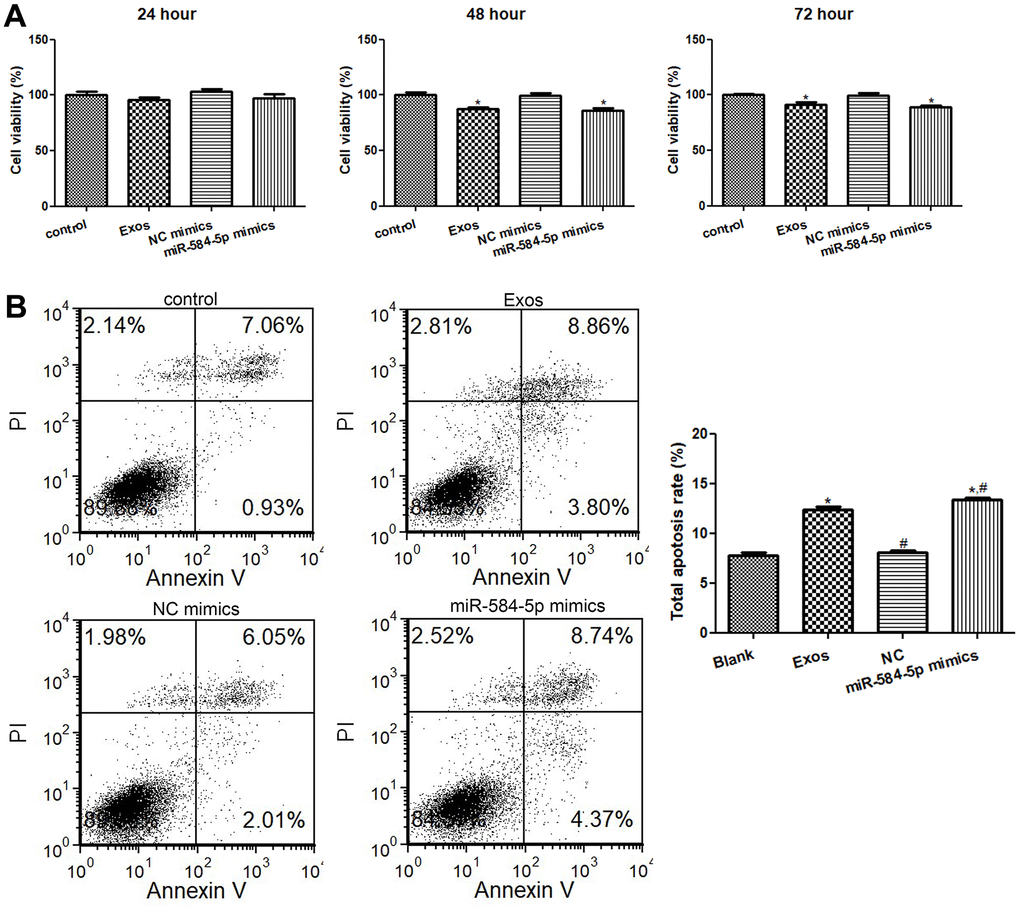 Effects of exosomal miR-584-5p on the cell viability and apoptosis of HMC3 cells. (A) The cell viability of HMC3 cells treated with POCD-derived exosomes and miR-584-5p mimics determined using Cell Counting Kit-8. (B) Flow cytometer was utilized to determine the cell apoptosis of HMC33 cells with different treatments. *: P #: P 