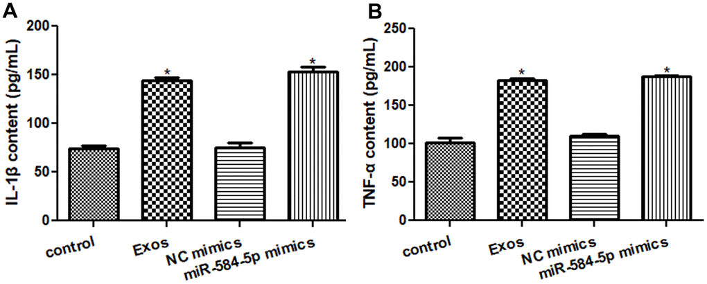 Effects of exosomal miR-584-5p on the pro-inflammatory cytokines in HMC3 cells by enzyme-linked immunosorbent assay. (A) The content of IL-1β in the HMC cells with different treatments. (B) The content of TNF-α in the HMC cells with different treatments. *: P 