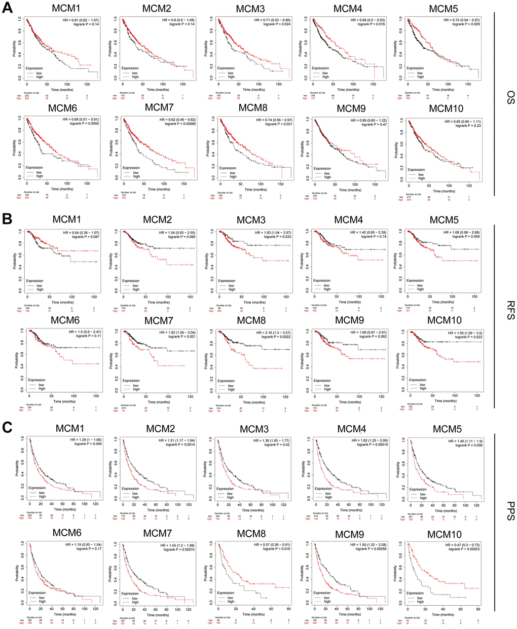 Prognostic value of MCM family members in lung squamous cell carcinoma (LUSC). (A–C) Association of mRNA expression of MCM family members with overall survival (OS), progression-free survival (RFS), and post-progression survival (PPS) in LUSC using Kaplan–Meier plotter database.