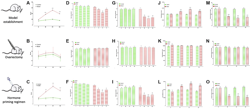 Behavioral characteristics of PMDD model rats and their estrous cycle dependence identification. (E) M, D1, and D2 represent the four stages of rats’ estrus. (A, D, G, J, and M) are behavioral characteristics of PMDD model rats under the state of the estrous cycle. (B, E, H, K, and N) are the behavioral characteristics of PMDD model rats losing estrous cycle after ovariectomy. (C, F, I, L, and O) are the behavioral characteristics of PMDD model rats after artificially induced estrous cycle recovery. (A) Reveals the score of mixed attacks before ovariectomy. (B) Shows the score of mixed attacks after ovariectomy. (C) Displays the score of mixed attacks after hormone induction. (D) Displays the percentage of the number of times to enter the open arm before ovariectomy; (E) Shows the percentage of the number of times entering the open arm after ovariectomy. (F) Reveals the percentage of the number of times entering the open arm after hormone induction. (G) Reveals the percentage of stay time in the open arm before ovariectomy. (H) Displays the percentage of stay time in the open arm after ovariectomy. (I) Displays the percentage of retention time in the open arm after hormone induction. (J) Represents the total distance before ovariectomy. (K) Represents the total distance after ovariectomy. (L) Represents the total distance after hormone induction. (M) Represents the residence time in the central area before ovariectomy. (N) Represents the residence time in the central area after ovariectomy. (O) Represents the residence time of the central area after hormone induction, *p **p ***p 