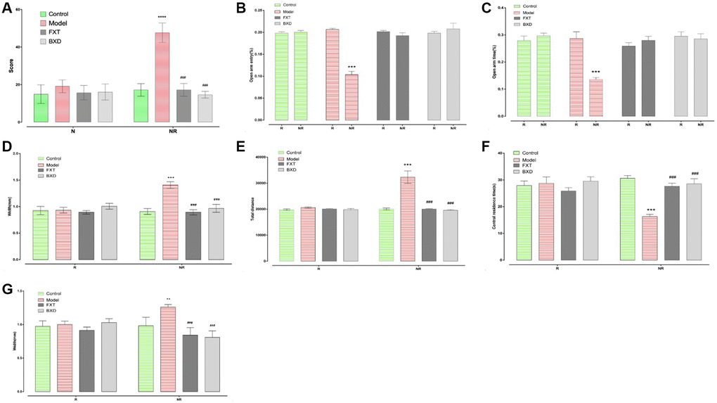 Changes of model rats after drug intervention. R stands for acceptance period experiment; NR stands for non-acceptance period experiment; (A) Shows a comparison of aggressive behavior test results after drug intervention; (B) Demonstrates the percentage of number of times that OE% of EPM enters the open arm after drug intervention; (C) shows OT% of EPM after drug intervention; (D) represents the total distance after drug intervention; (E) represents the central area residence time after drug intervention; (F) displays the left nipple width of rats; (G) displays the right nipple width of rats; *p **p ***,#p ##p ##p 