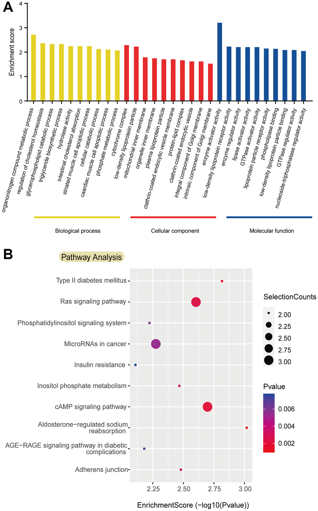 Gene ontology and kyoto encyclopedia of genes and genomes pathway analyses based on persistent downregulation/upregulation. (A) Top 10 Gene Ontology (GO) terms identified in GO analysis; (B) Top 10 pathways identified in Kyoto Encyclopedia of Genes and Genomes pathway analysis. Abbreviations: GO: Gene Ontology; KEGG: Kyoto Encyclopedia of Genes and Genomes.