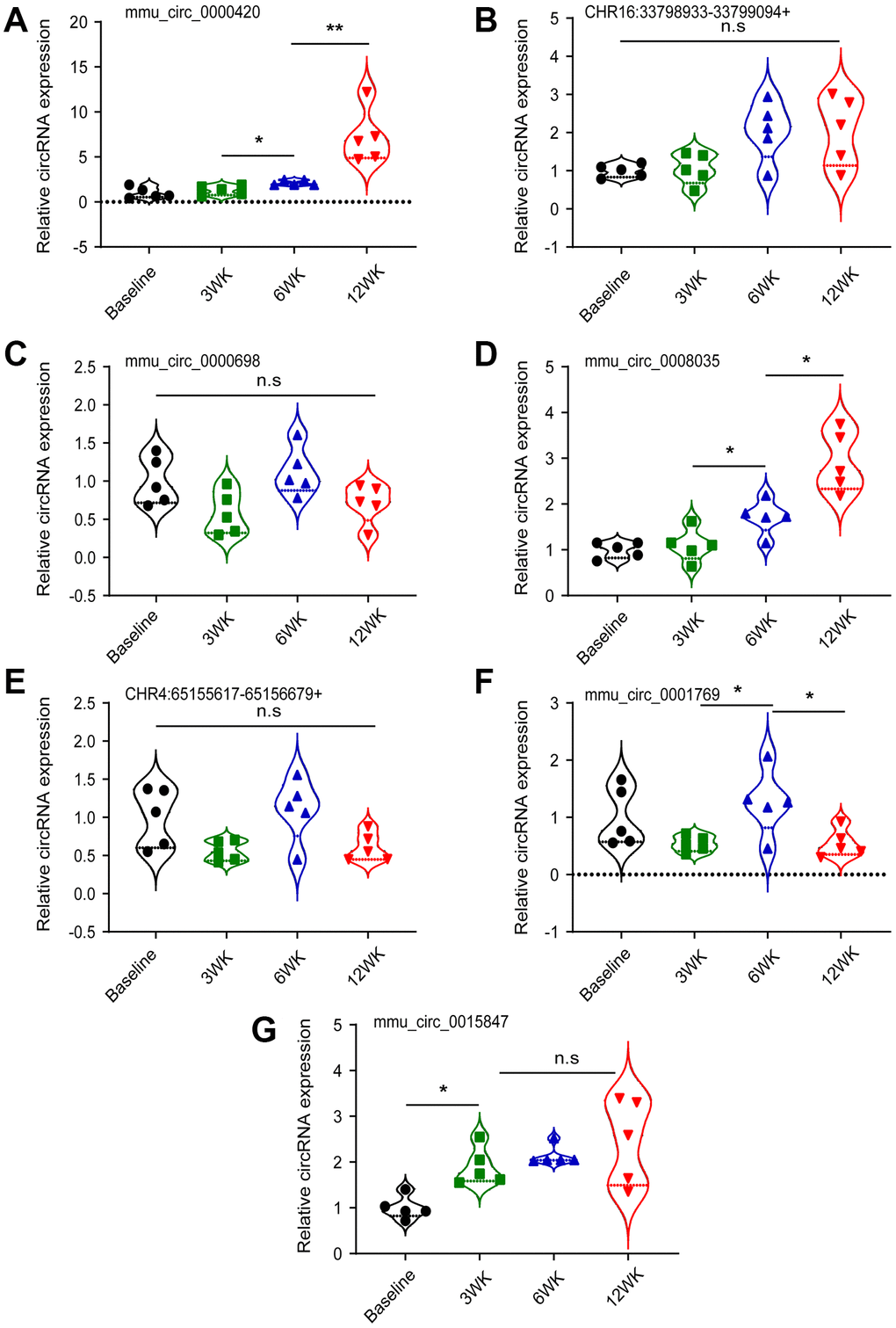 Validation of candidate circRNAs by qRT-PCR. (A) mmu