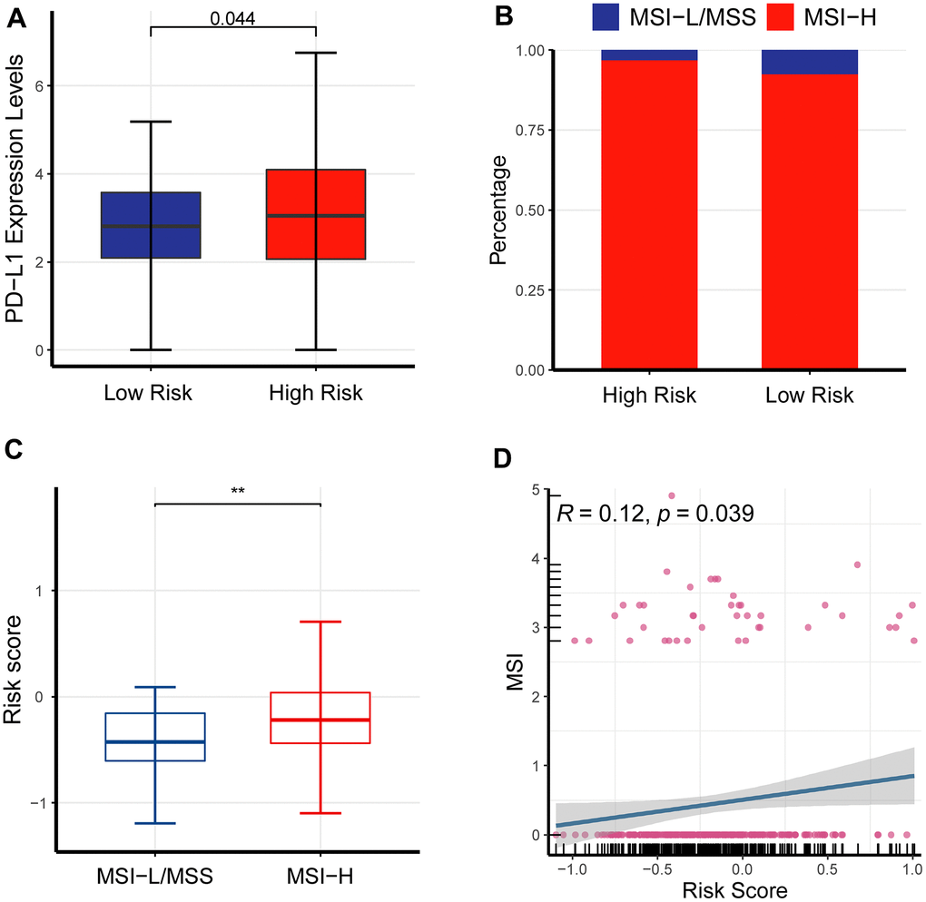 The impact of the newly-established signature on immunotherapy. (A) PD-L1 was overexpressed in the high-risk cohort than its counterpart. (B) Bar plot showed MSI-H had a larger fraction in the high-risk cohort than its counterpart. (C) Box plot showed that the high-risk cohort had an elevated MSI compared to its counterpart. (D) Scatter plot demonstrated that MSI was critically associated with risk scores.