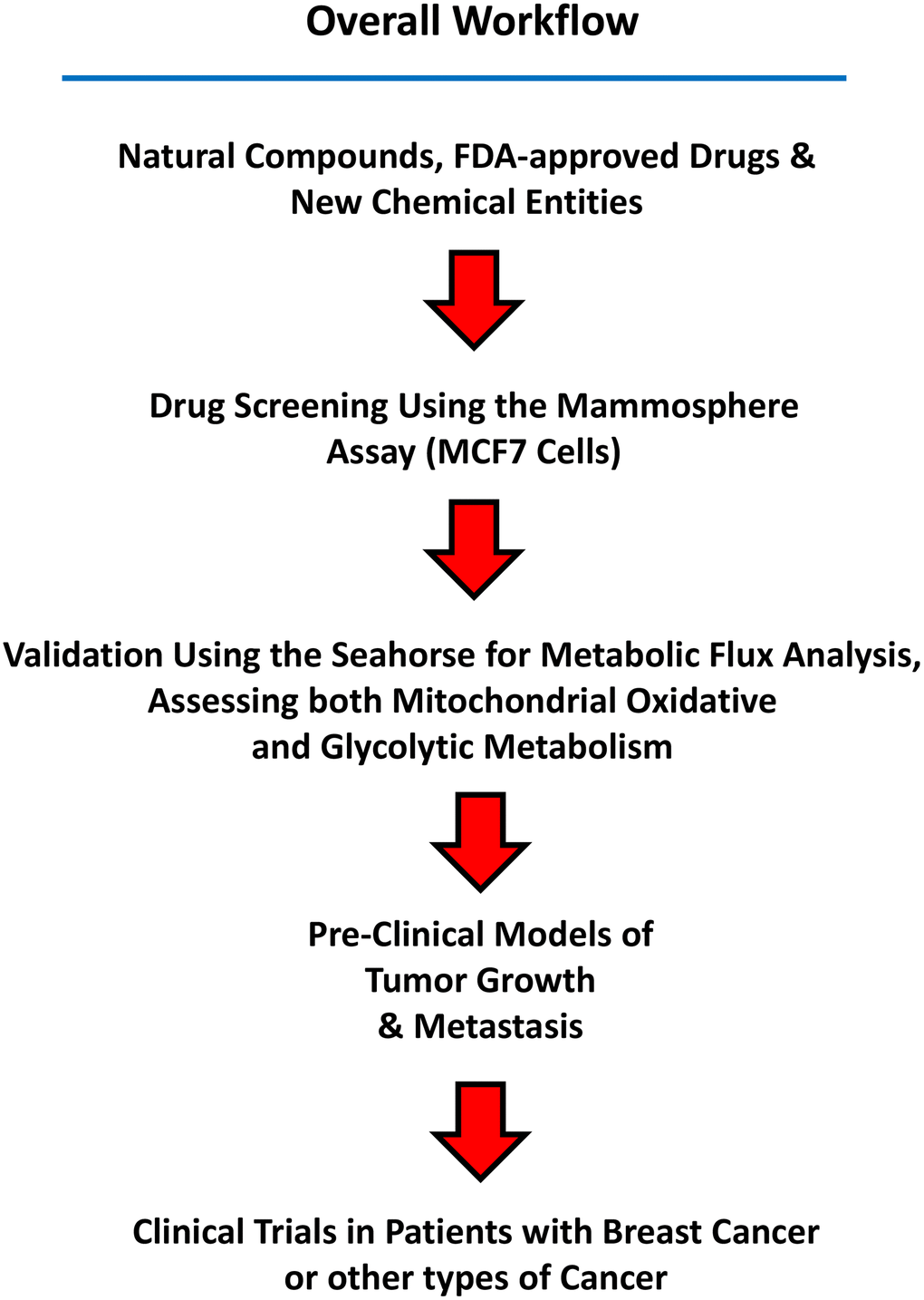 Summary of the Workflow. Candidate natural compounds, FDA-approved drugs, and/or new chemical entities are subjected to drug screening, using the 3D mammosphere assay (MCF7 cells). Positive hits are then validated as metabolic inhibitors, by using the Seahorse, to directly measure oxygen consumption and metabolic flux. Small chemical entities showing anti-mitochondrial activity can then be further validated in pre-clinical models of tumor growth and metastasis. Finally, clinical trials in patients with breast cancer (or other cancer types) can be carried out to validate in vivo that a given compound eradicates CSCs, using CSC-specific markers, such as CD44 and ALDH1 by immuno-histochemistry.