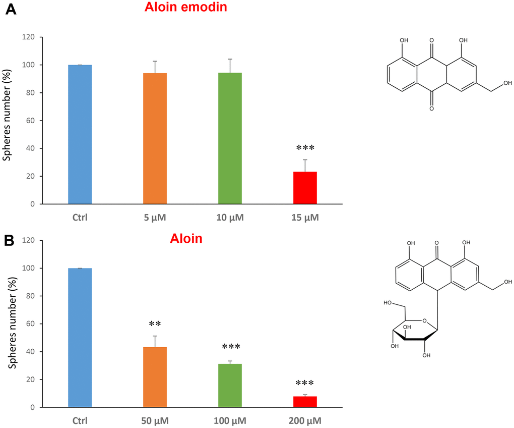 Natural products derived from plant aloe latex decrease mammosphere formation. The effects of two natural products, aloe emodin and aloin, are shown. (A) Aloe emodin is a compound, with similar biological characteristics of aloin, but lacking a sugar moiety. Note that aloe emodin is effective in inhibiting CSC propagation, by >75% at a concentration of 15 μM. Its IC50 is between 10-25 μM. (B) Aloin or barbaloin significantly decreases mammosphere number at a concentration of 50 μM, its IC50. At 200 μM, it reduces the sphere formation by > 90%. Bar graphs are shown as the mean ± SEM; t-test, two-tailed test. **p 