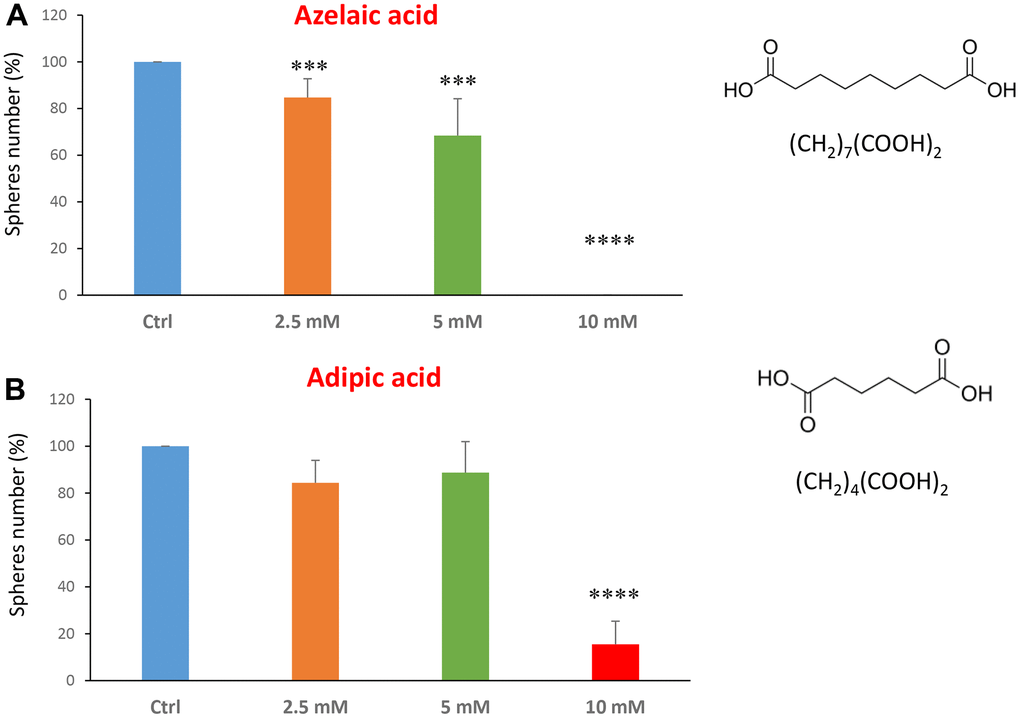 Natural products, azelaic and adipic acids, decrease mammosphere formation. Finally, we tested the effects of two more natural compounds, such as azelaic acid and adipic acid. (A) Azelaic acid is a saturated dicarboxylic acid and it is effective in inhibiting CSC propagation, starting at a concentration of 2.5 mM, with complete inhibition at a concentration of 10 mM. (B) Adipic acid is another dicarboxylic acid that significantly blocks CSC propagation, with near complete inhibition at 10 mM, similarly to azelaic acid. Bar graphs are shown as the mean ± SEM; t-test, two-tailed test. ***p 