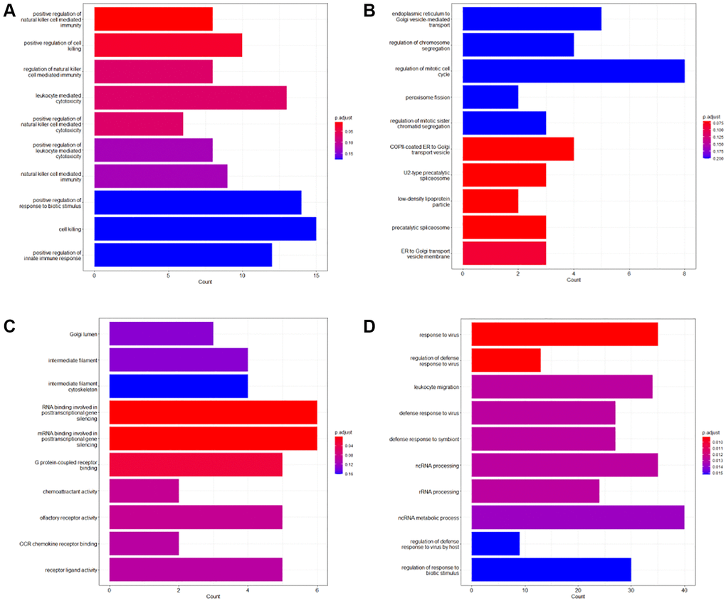 GO enrichment analysis of the survival-associated genes. (A) Top 10 GO enrichment terms of the survival-associated genes of the entire dataset; (B) Top 10 GO enrichment terms of the survival-associated genes of Stage II; (C) Top 10 GO enrichment terms of the survival-associated genes of Stage III; (D) Top 10 GO enrichment terms of the survival-associated genes of Stage IV.