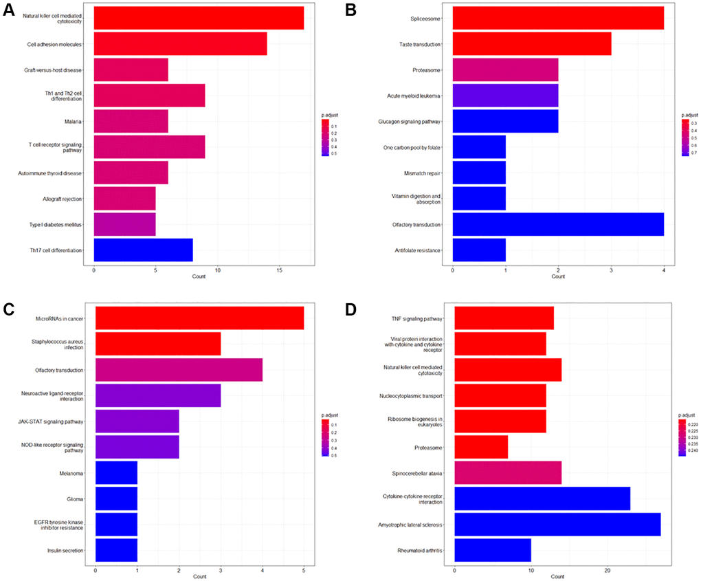 KEGG enrichment analysis of the survival-associated genes. (A) Top 10 KEGG enrichment terms of the survival-associated genes of the entire dataset; (B) Top 10 KEGG enrichment terms of the survival-associated genes of Stage II; (C) Top 10 KEGG enrichment terms of the survival-associated genes of Stage III; (D) Top 10 KEGG enrichment terms of the survival-associated genes of Stage IV.